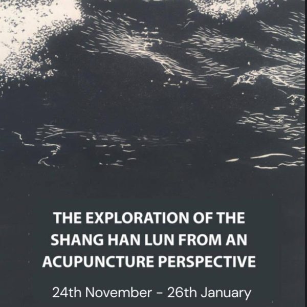 Shang han lun poster